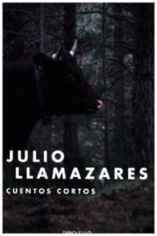Cuentos Cortos