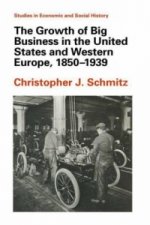 Growth of Big Business in the United States and Western Europe, 1850-1939