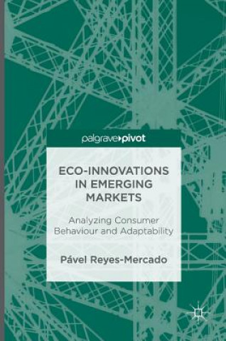 Eco-Innovations in Emerging Markets