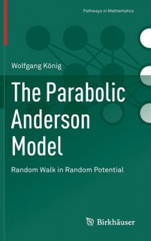 Parabolic Anderson Model
