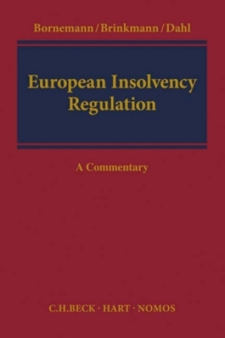 European Insolvency Regulation, Commentary