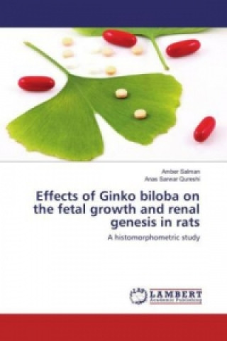 Effects of Ginko biloba on the fetal growth and renal genesis in rats