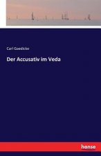 Accusativ im Veda