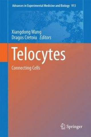 Telocytes