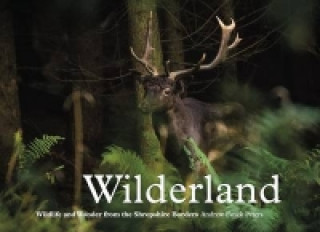 Wilderland, Wildlife and Wonder from the Shropshire Borders