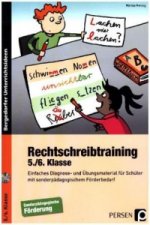 Rechtschreibtraining - 5./6. Klasse, m. 1 CD-ROM