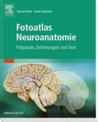 Fotoatlas Neuroanatomie