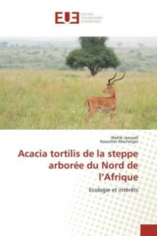 Acacia tortilis de la steppe arborée du Nord de l'Afrique