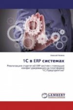 1S v ERP sistemah