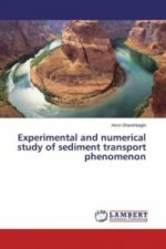 Experimental and numerical study of sediment transport phenomenon
