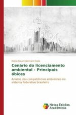 Cenário do licenciamento ambiental - Principais óbices