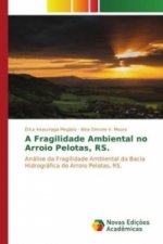 A Fragilidade Ambiental no Arroio Pelotas, RS.