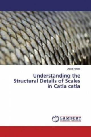 Understanding the Structural Details of Scales in Catla catla