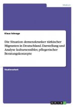 Situation demenzkranker turkischer Migranten in Deutschland. Darstellung und Analyse kultursensibler, pflegerischer Beratungskonzepte