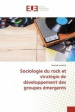 Sociologie du rock et stratégie de développement des groupes émergents