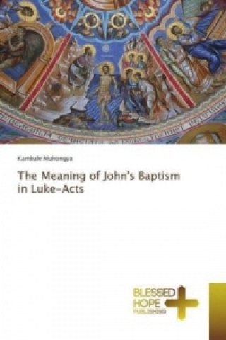 The Meaning of John's Baptism in Luke-Acts