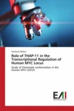 Role of THAP-11 in the Transcriptional Regulation of Human MYC Locus