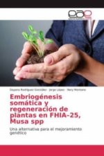 Embriogénesis somática y regeneración de plantas en FHIA-25, Musa spp