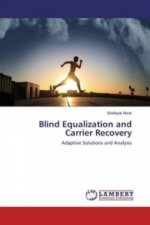 Blind Equalization and Carrier Recovery