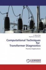 Computational Techniques for Transformer Diagnostics