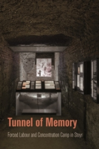 Tunnel of Memory