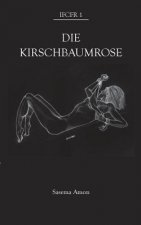 Kirschbaumrose