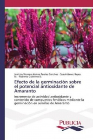 Efecto de la germinación sobre el potencial antioxidante de Amaranto