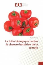 La lutte biologique contre le chancre bactérien de la tomate