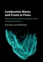 Combustion Waves and Fronts in Flows