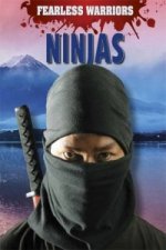 Fearless Warriors: Ninjas