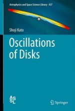 Oscillations of Disks