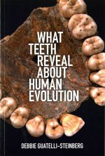 What Teeth Reveal about Human Evolution