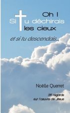 Oh! Si tu dechirais les cieux et si tu descendais...