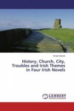 History, Church, City, Troubles and Irish Themes in Four Irish Novels