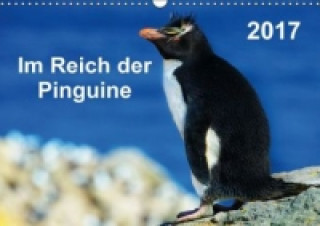 Im Reich der Pinguine (Wandkalender 2017 DIN A3 quer)