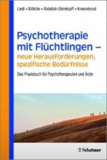 Psychotherapie mit Flüchtlingen - Neue Herausforderungen, spezifische Bedürfnisse
