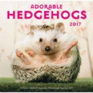 Adorable Hedgehogs Mini 2017