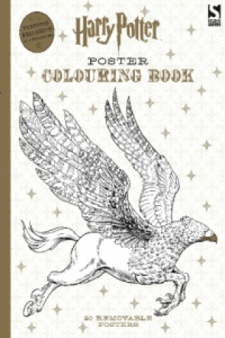 Harry Potter Poster Colouring Book