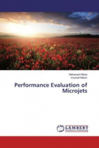 Performance Evaluation of Microjets
