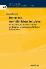 Lernen mit (un-)ahnlichen Beispielen