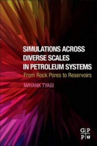 Simulations Across Diverse Scales in Petroleum Systems