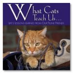 What Cats Teach Us...