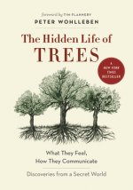 Hidden Life of Trees