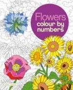 Flowers Colour by Numbers