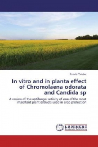 In vitro and in planta effect of Chromolaena odorata and Candida sp