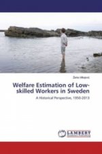 Welfare Estimation of Low-skilled Workers in Sweden
