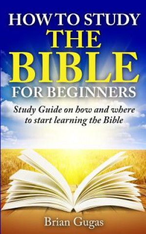 How to Study the Bible for Beginners