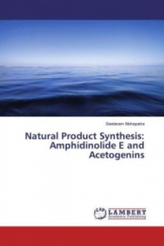 Natural Product Synthesis: Amphidinolide E and Acetogenins
