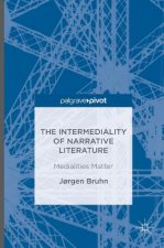 Intermediality of Narrative Literature