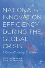 National Innovation Efficiency During the Global Crisis